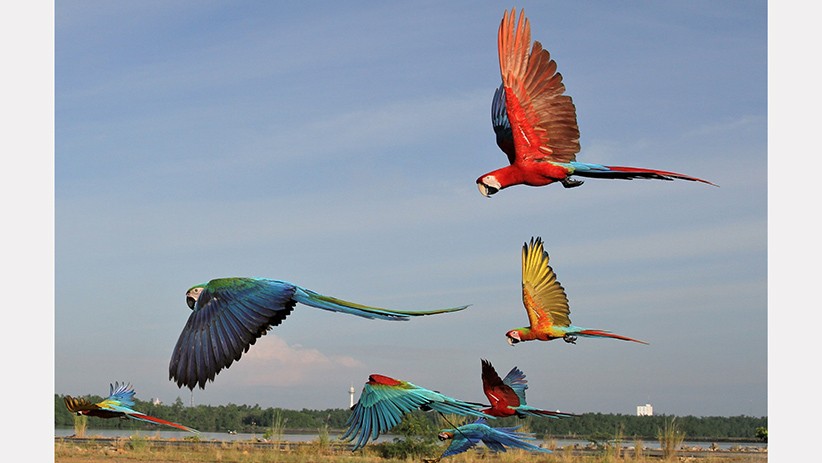 7 Mukjizat Nabi Isa as dalam Al Qur'an, Dari Kitab Injil hingga Menciptakan Burung