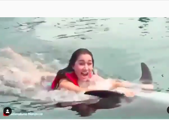 Berenang Bareng Lumba-lumba, Lucinta Luna Dikecam Mantan Menteri sampai Artis