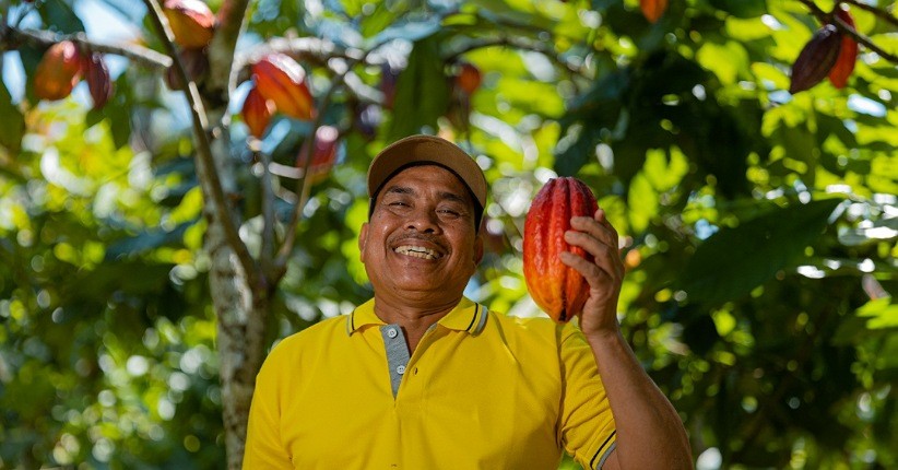 Mete Sumba dan Cokelat Bali Miliki Kualitas Terbaik, Ternyata seperti Ini Panennya
