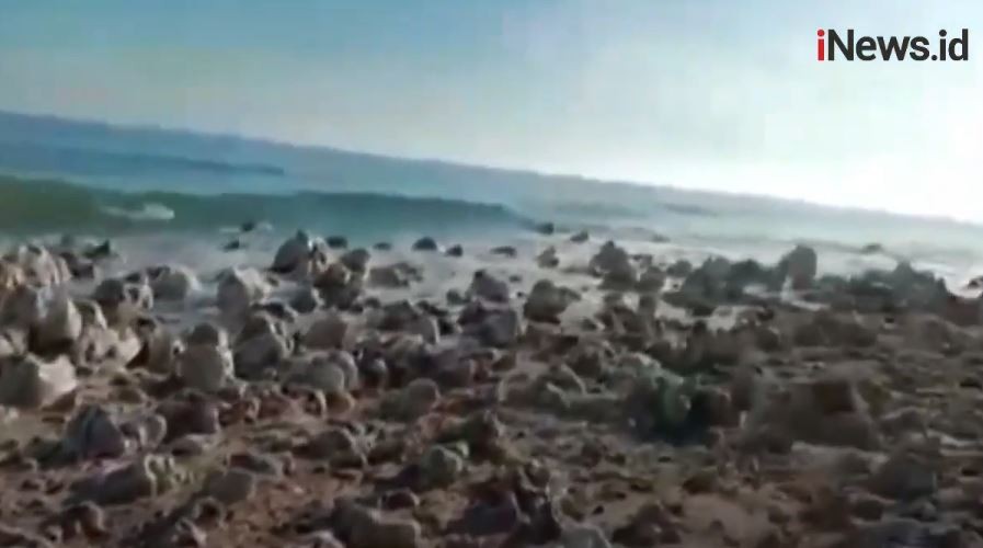 Pulau Baru Muncul di NTT Usai Badai Seroja, BMKG: Fenomena Littoral Drift