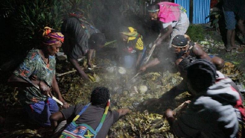 KKB Tembaki Acara Bakar Batu di Ilaga, Danrem 173/PVB Pastikan Tak Ada Korban Jiwa