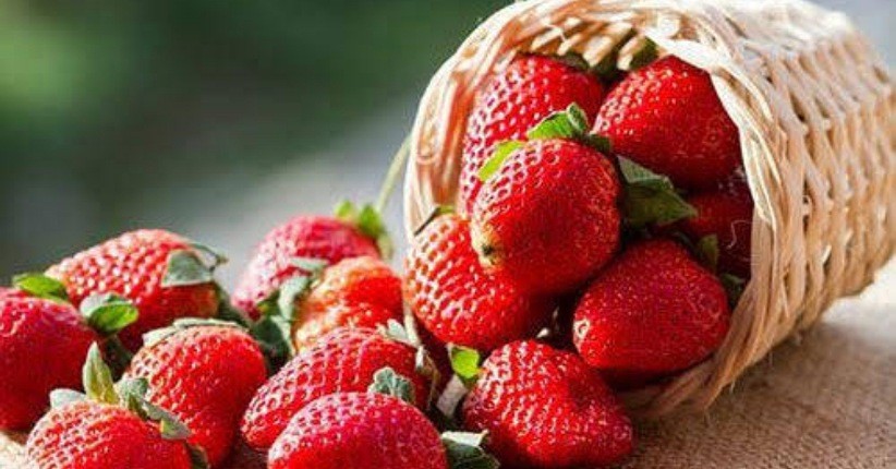 3 Buah-buahan Ini Bisa Bikin Kulit Glowing, Yuk Konsumsi secara Rutin