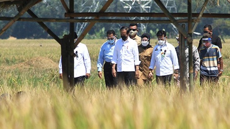 Jokowi Pastikan Tak Ada Impor Beras Sampai Akhir Tahun, Ini Syaratnya