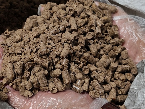 Sumut Ekspor Perdana Pakan Ternak ke Korea