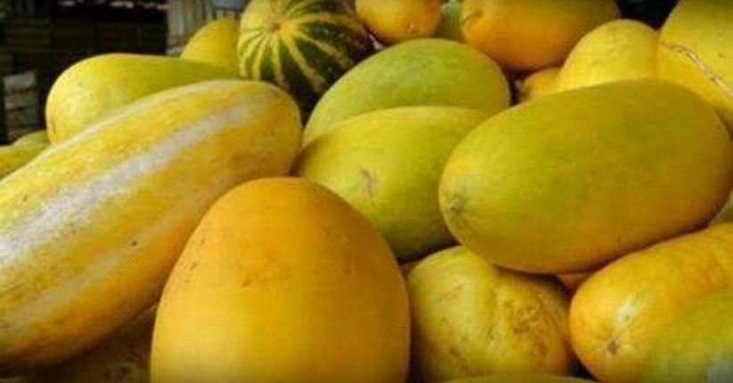 5 Manfaat Timun Suri untuk Kesehatan, Tinggi Serat dan Segar Dijadikan Minuman