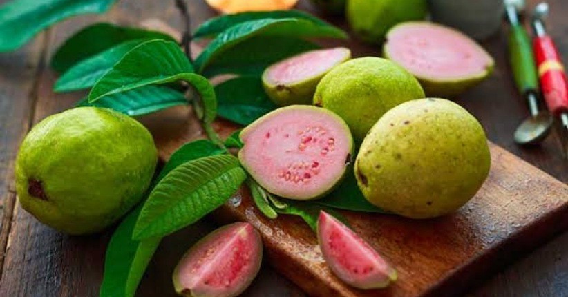 Buka Puasa dengan Jus Jambu Biji, Segar Bisa Tingkatkan Imunitas