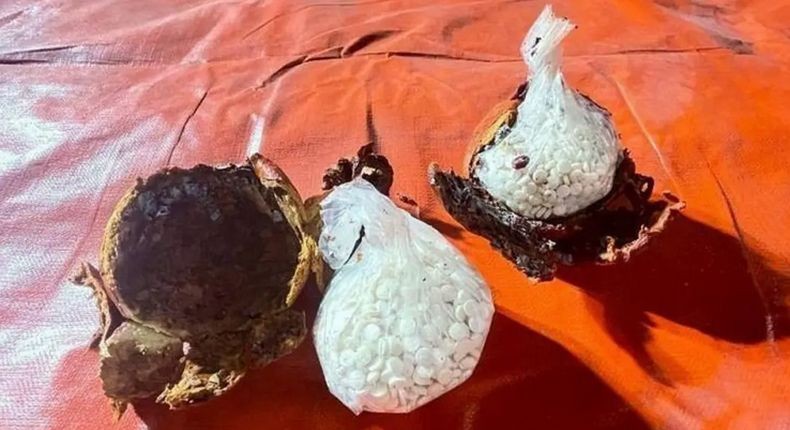 Jutaan Pil Narkoba Diselundupkan di Delima, Saudi Larang Impor Buah dari Lebanon