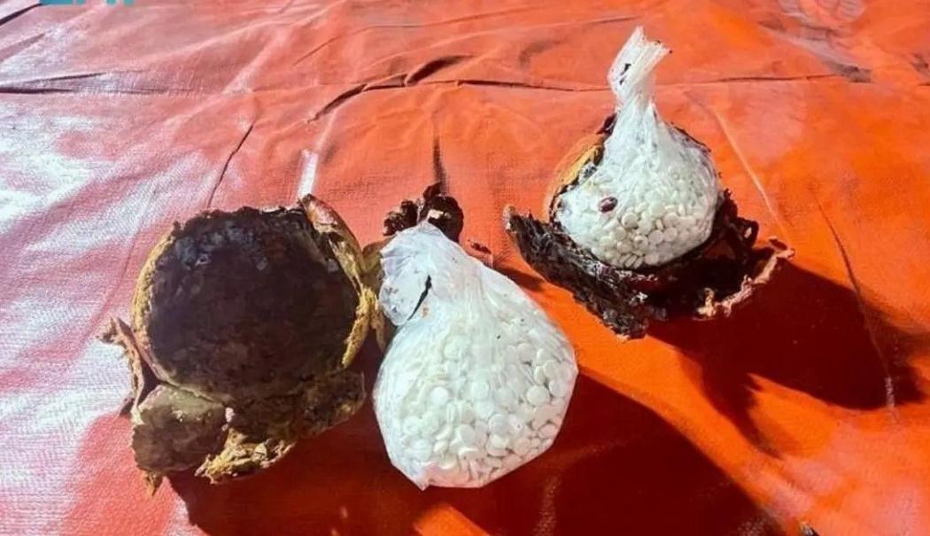 Hizbullah Dituding Kirim Jutaan Pil Narkoba ke Arab Saudi