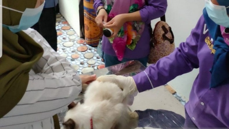 Antisipasi Kasus Rabies, DPKP Palembang Tambah Puskeswan