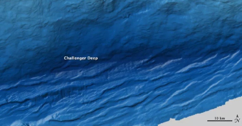 Menjelajahi Palung Mariana, Intip Makhluk yang Hidup di Dalamnya
