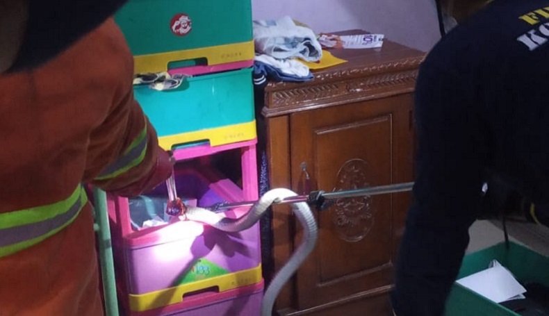 Lolos dari Maut, Pria Bekasi Ini Nyaris Dipatok Ular Kobra