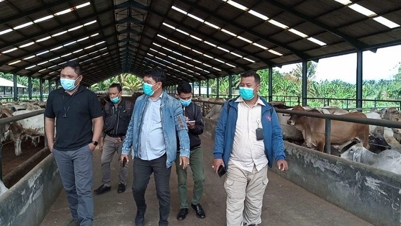 Jelang Lebaran, KPPU Pastikan Stok Daging Sapi dan Ayam di Sumut Aman