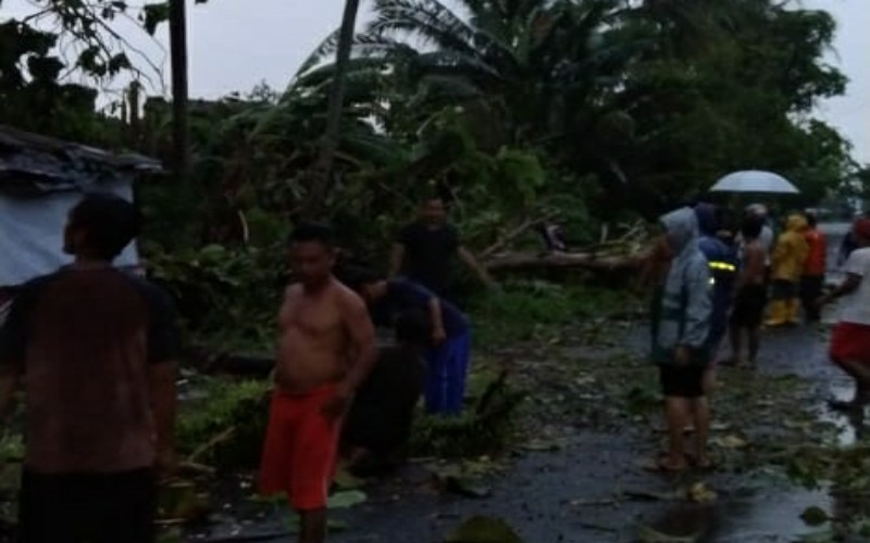 BPBD Sebut Sumsel Berpotensi Diterjang Hujan dan Puting Beliung