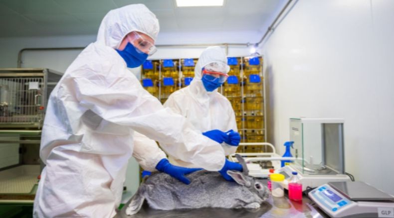 Pertama di Dunia, Rusia Mulai Produksi Vaksin Covid-19 untuk Hewan