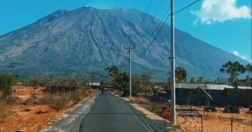 5 Daya Pikat Savana Tianyar Bali, seperti Berwisata Menjelajahi Afrika