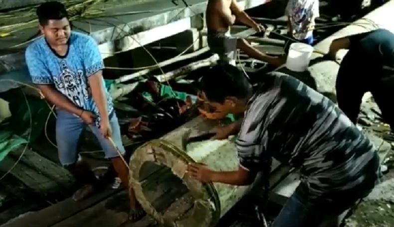 Mengenal Meriam Karbit, Tradisi Warga Pontianak Menyambut Idul Fitri