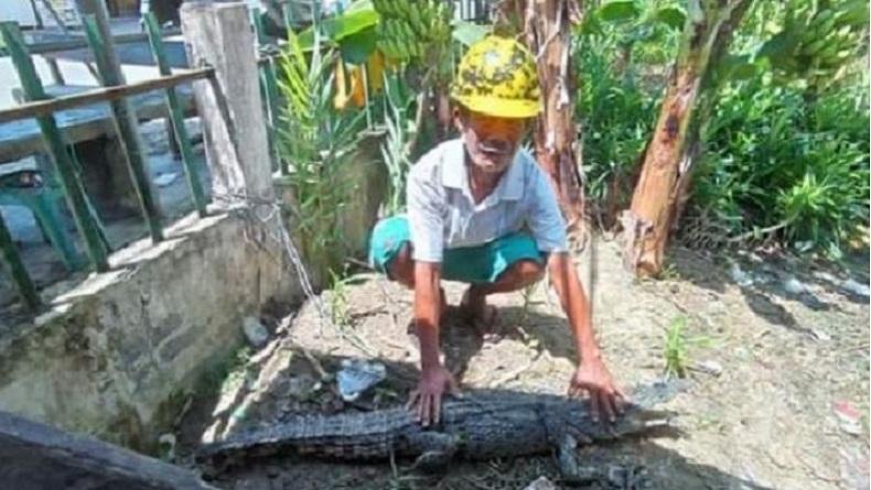 Dua Buaya Masih Berkeliaran di Pantai, Warga Gunungsitoli Resah