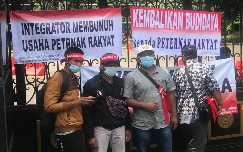 Di Bawah HPP, Peternak Ayam Rugi Rp5,4 Triliun dalam 2 Tahun