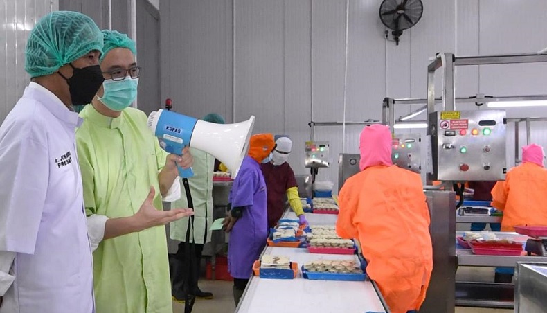 Jokowi : Produk Perikanan Indonesia Sangat Menjanjikan untuk Pasar Dunia