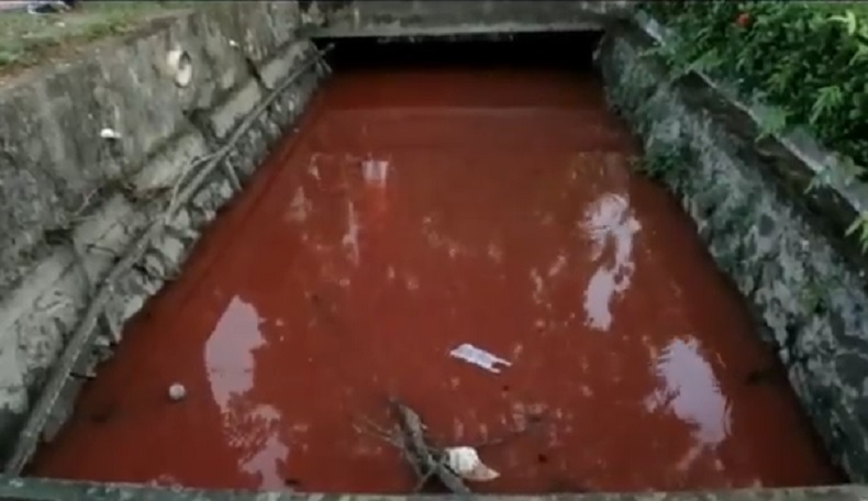 Air Parit di Pontianak Berwarna Merah Darah, Diduga karena Pencemaran Lingkungan