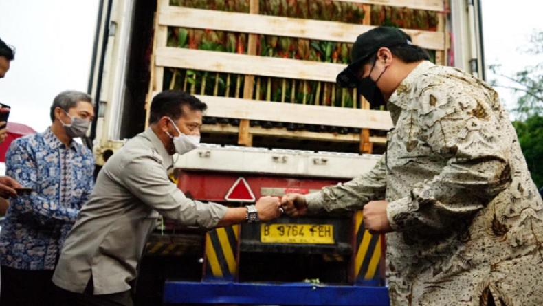 Menko Airlangga : Genjot Ekspor Florikultura, Penuhi Ceruk Pasar Dunia