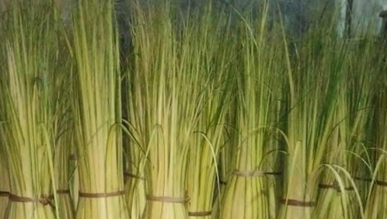 Penjual Janur di Salatiga Kebanjiran Order Menjelang Lebaran 