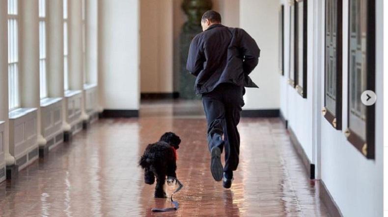 Dipelihara Lebih dari 10 Tahun, Anjing Peliharaan Keluarga Barack Obama Mati