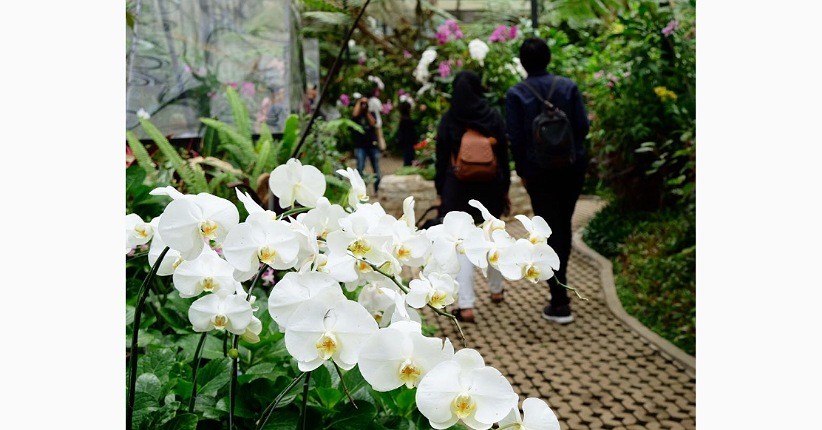 5 Rekomendasi Wisata Bandung, Nomor 2 Ada Taman Anggrek Terluas di Indonesia