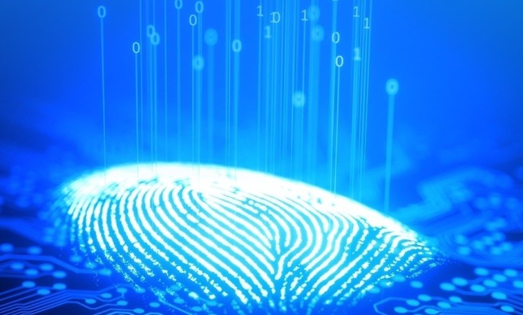 Mengungkap Cara Kerja Fingerprint, Sistem Keamanan Sidik Jari