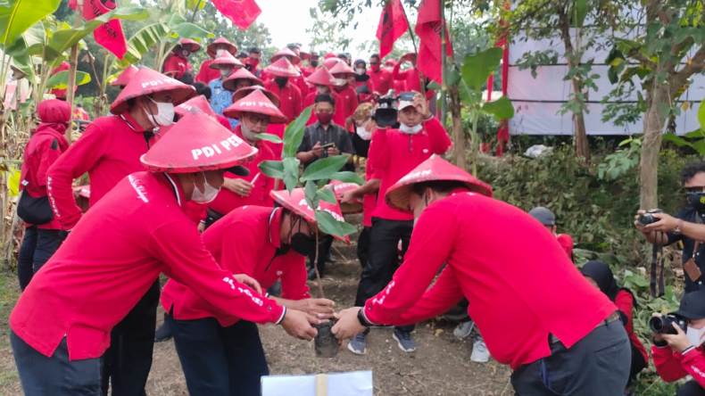 Kader PDIP Tanam Ribuan Pohon di Bantaran Sungai Bengawan Solo di Blora 