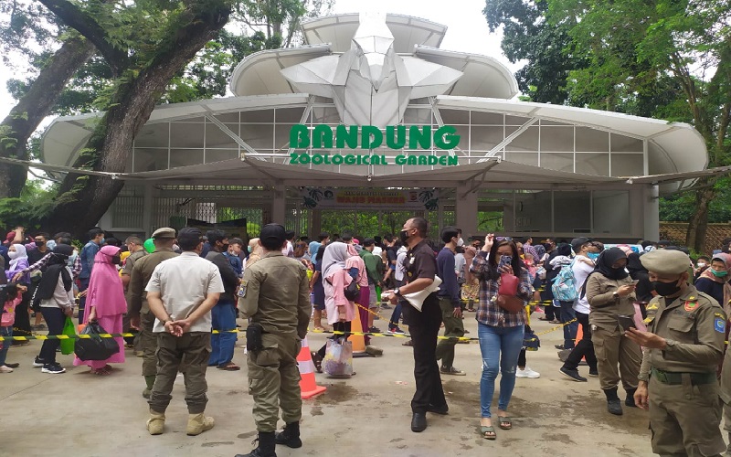 Akun IG Bandung Zoo Dibajak, Pengelola Khawatir Dipakai untuk Galang Bantuan