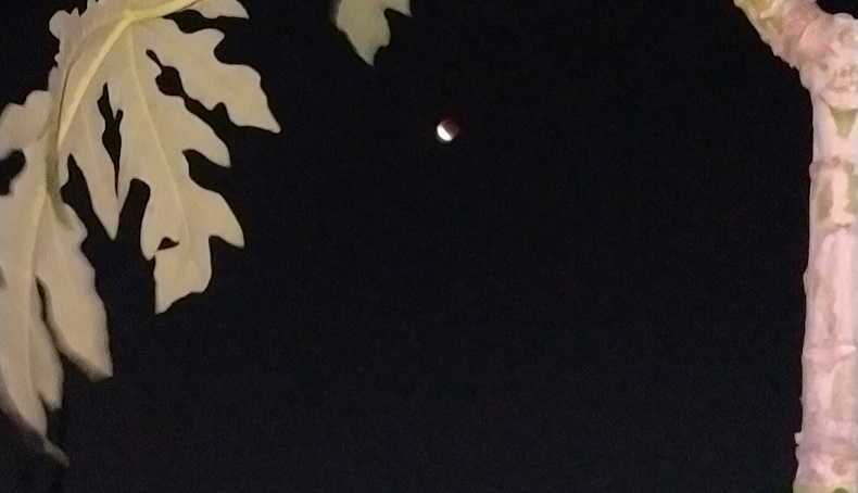 Warga Tangerang Hanya Bisa Lihat Sebagian Gerhana Bulan Total