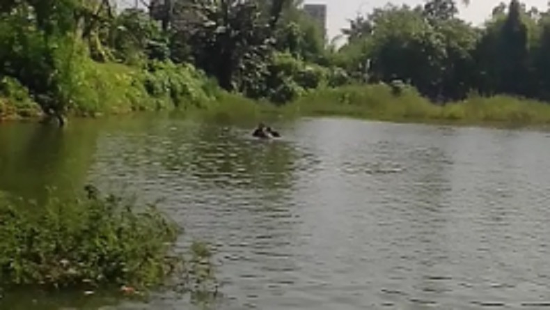 Helikopter Jatuh di Danau Buperta Depok