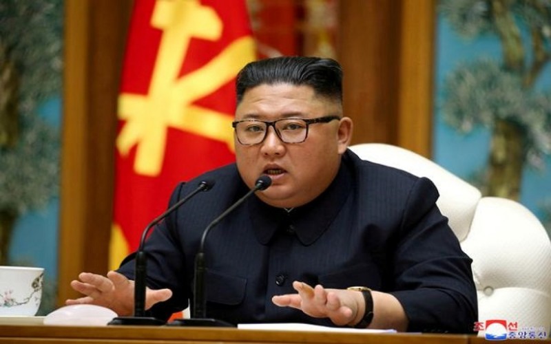 Korea Utara Musnahkan Kucing karena Bawa Covid-19 dari China