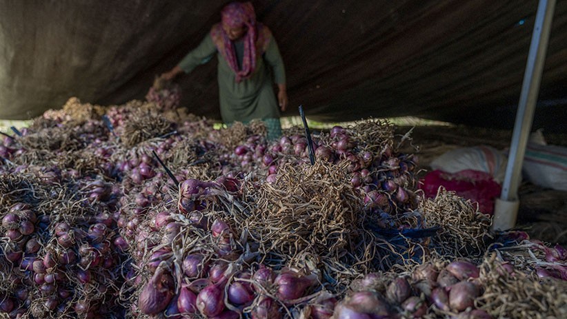 Jelang Ramadan, Kemendag Pastikan Persediaan Bawang Merah Antisipasi Musim Paceklik 