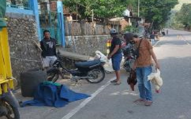 Aksi Judi Sabung Ayam Dibubarkan Polisi, Pelaku Lari Kocar-kacir