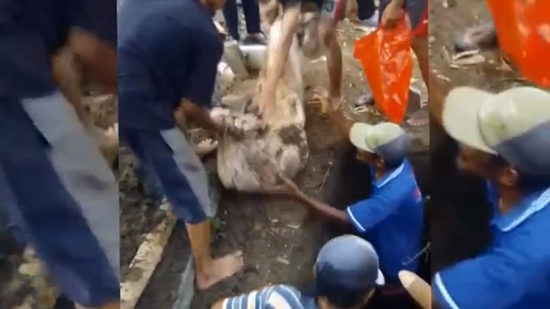 Ajaib, Terkubur Bertahun-tahun, Kain Kafan Masih Utuh dan Jenazah Harum