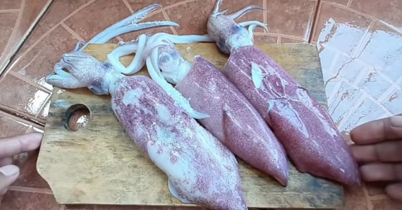 5 Cara Membersihkan Cumi-Cumi yang Benar, Yuk Coba di Rumah