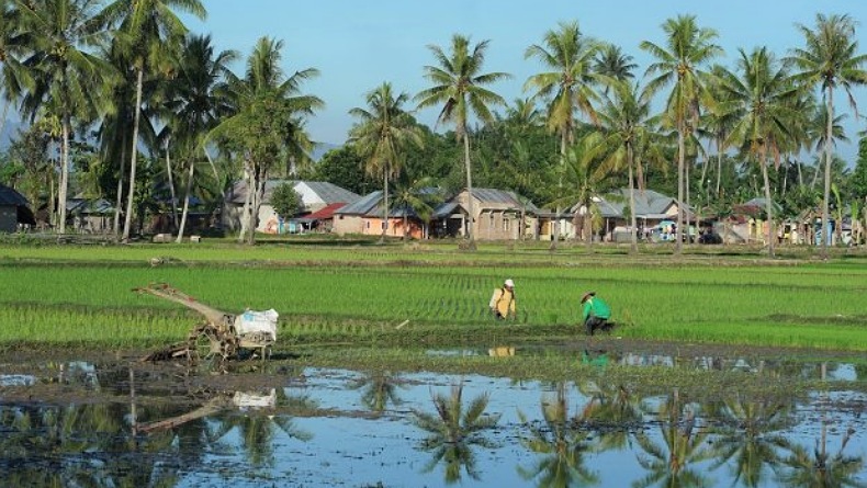 Nilai Tukar Petani Gorontalo Mei Naik 1,11 Persen