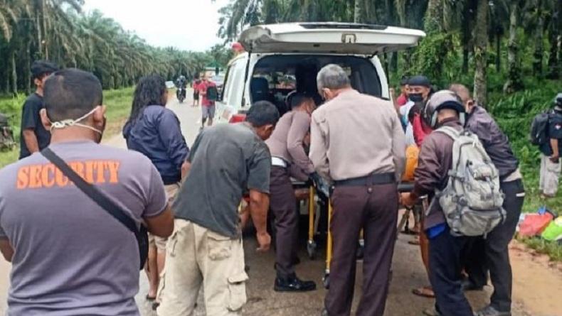 Kecelakaan Maut Mobil Terguling Tabrak Pohon Sawit di Sanggau, 5 Tewas 4 Terluka