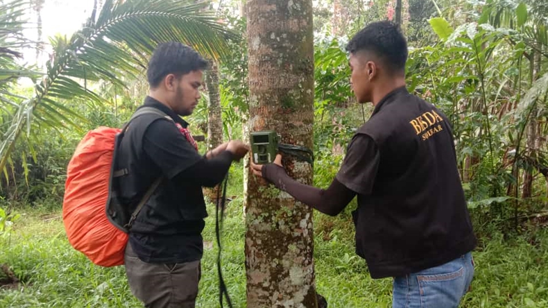 Cari Tahu Makhluk Berbulu dan Berbau Busuk, BKSDA Agam Pasang Kamera