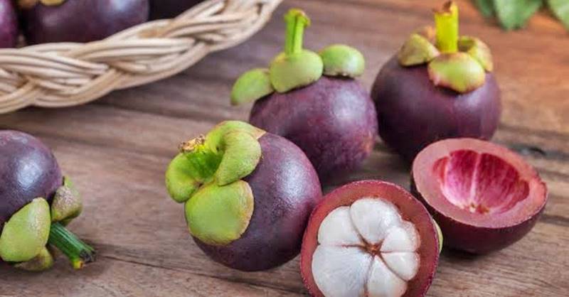 5 Cara Mengolah Kulit Manggis, Sehat dan Banyak Khasiatnya