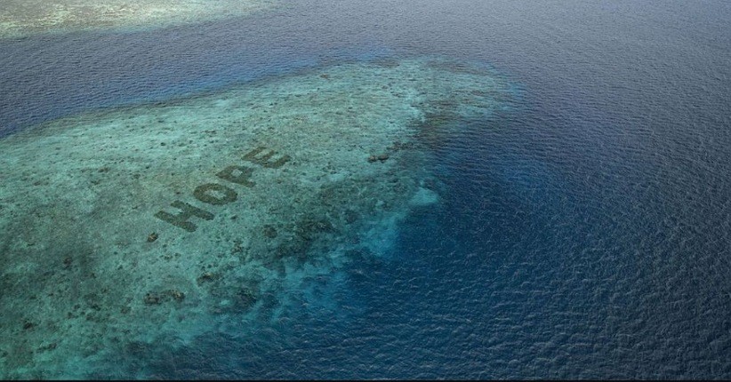 Mengintip Restorasi Terumbu Karang Terbesar di Dunia, Tersembunyi di Pulau Bontosua