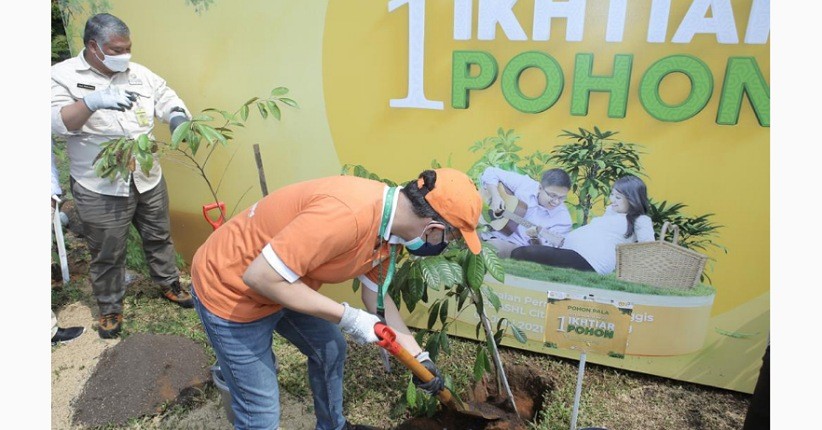 Aksi Nyata Tanam Pohon dan Sebar Benih Ikan Bisa Selamatkan Lingkungan