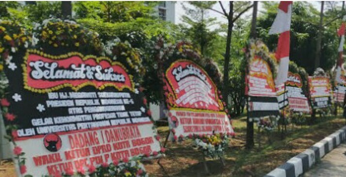 Megawati Akan Dikukuhkan Jadi Profesor Kehormatan, Ratusan Karangan Bunga Penuhi Unhan