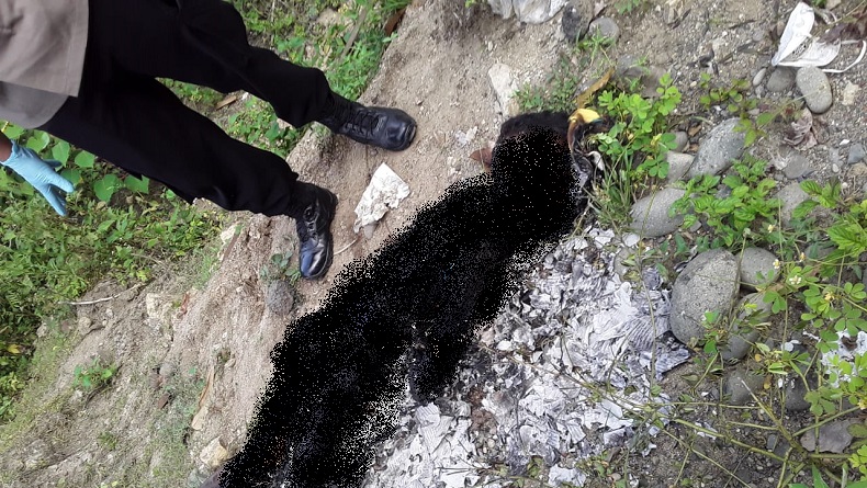 Penemuan Mayat Terbakar Tanpa Identitas Gegerkan Warga Maros