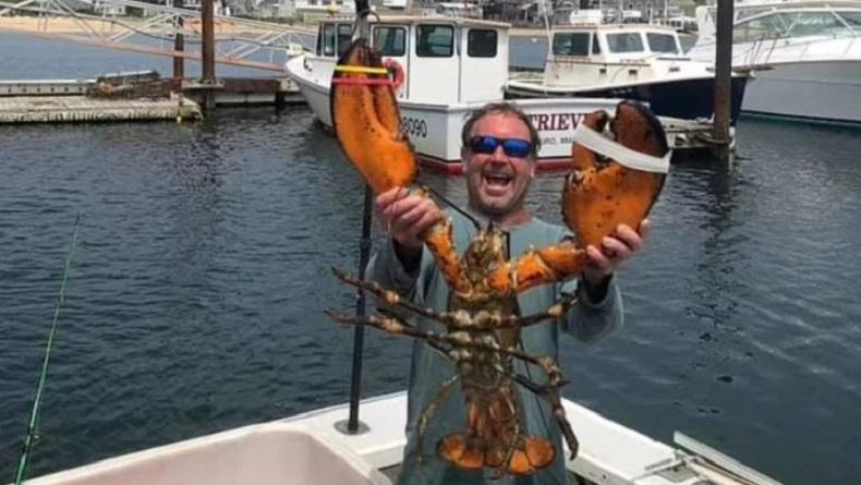 Ngeri, Laki-Laki Ini Mengaku Ditelan Paus lalu Dimuntahkan 