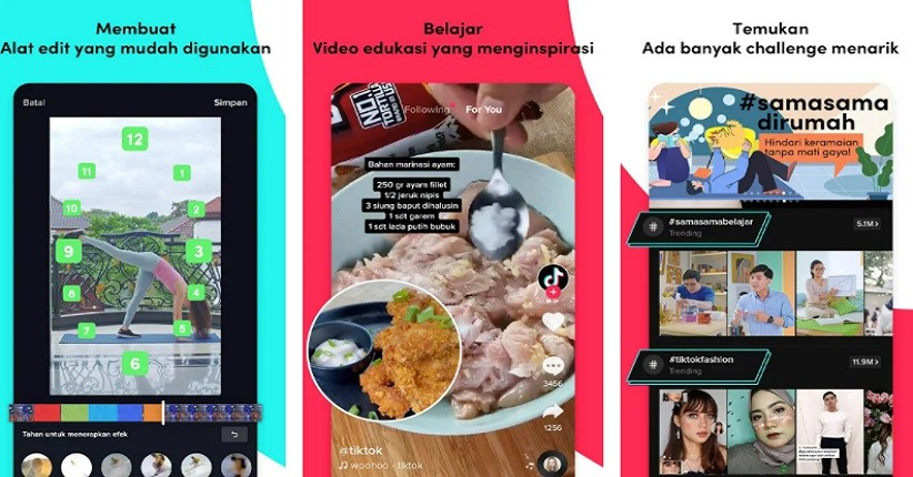 Cara Download Video TikTok yang di Privasi