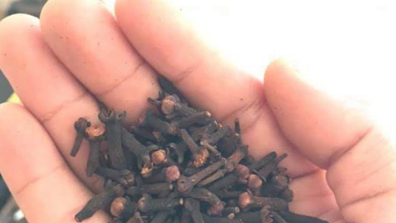 Harga Cengkih di Manado Makin Berpihak ke Petani, Kini Bertengger di Rp110.000/Kg