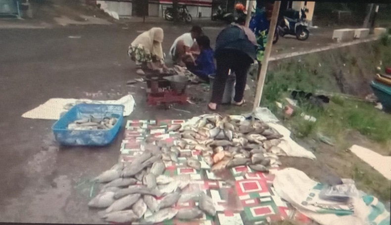 Puluhan Ton Ikan KJA Waduk Darma Kuningan Mati Mendadak